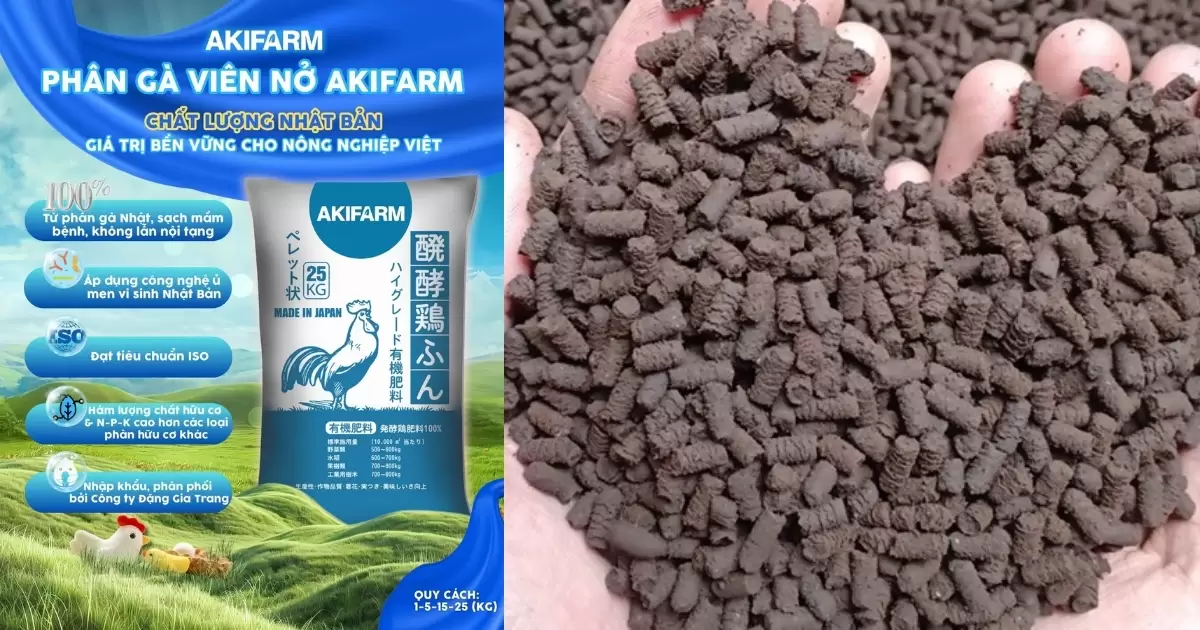 Kết hợp phân gà với phân trùn quế