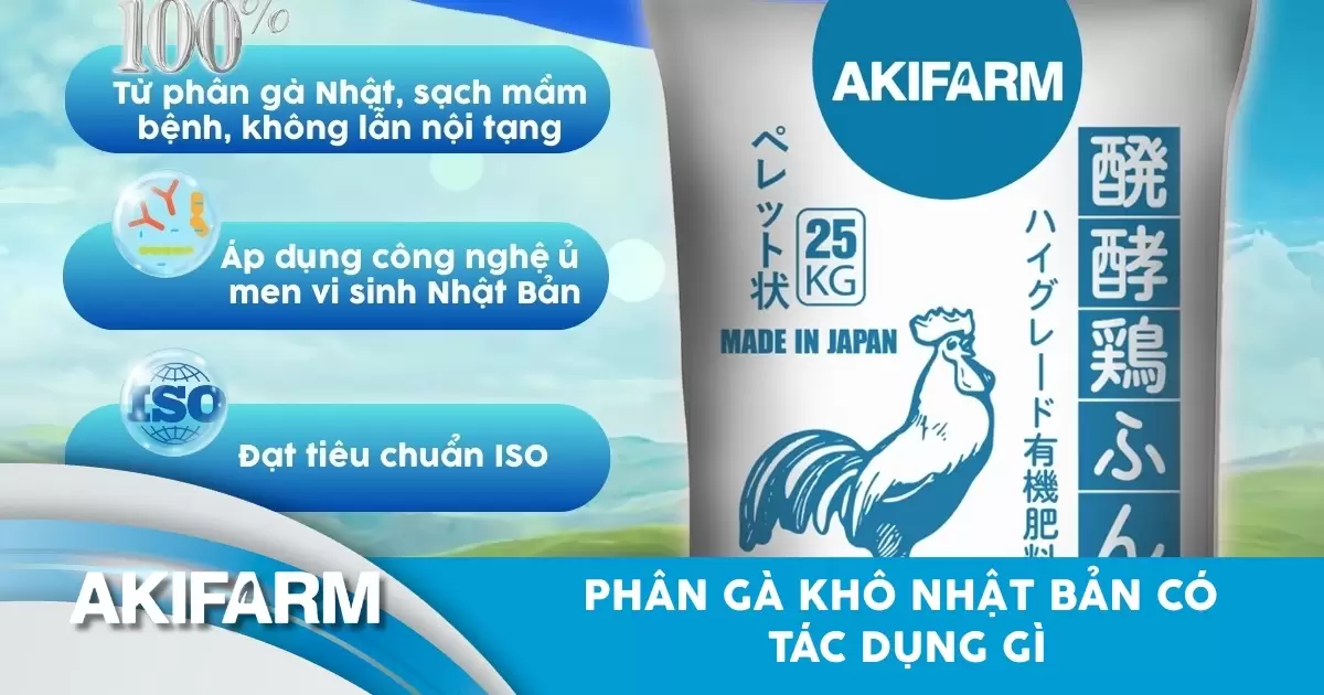 Phân gà khô Nhật Bản có tác dụng gì