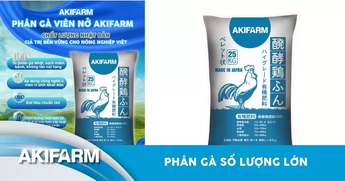 Phân gà số lượng lớn