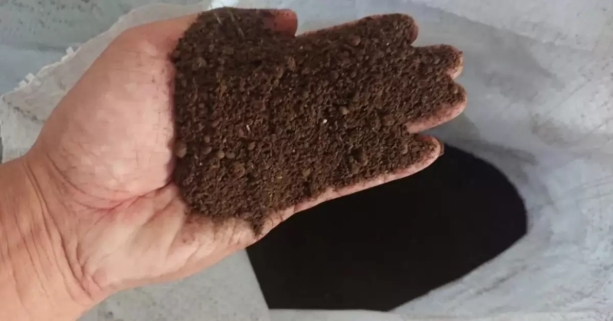 Giới thiệu về đặc điểm của phân gà khô
