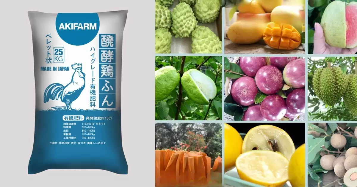 Giới thiệu về phân gà đối với cây ăn trái