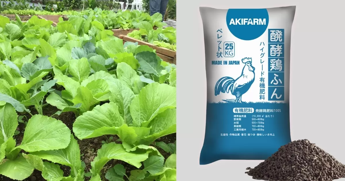 Tác dụng của phân gà đối với cây trồng