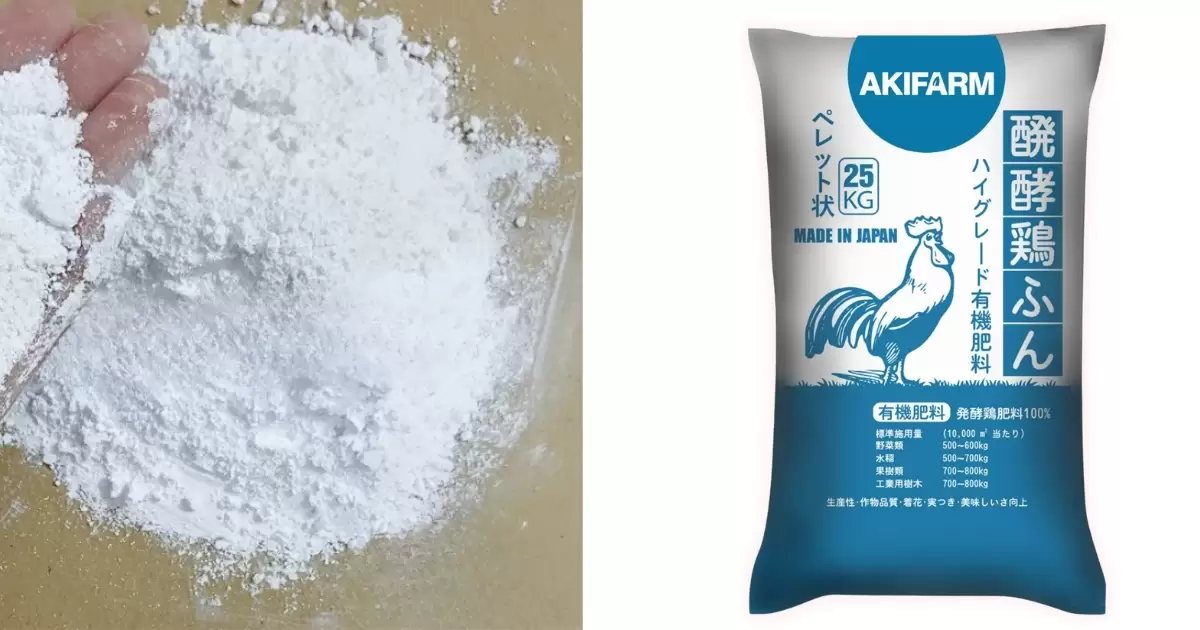 Bón lót phân gà + vôi bột nông nghiệp