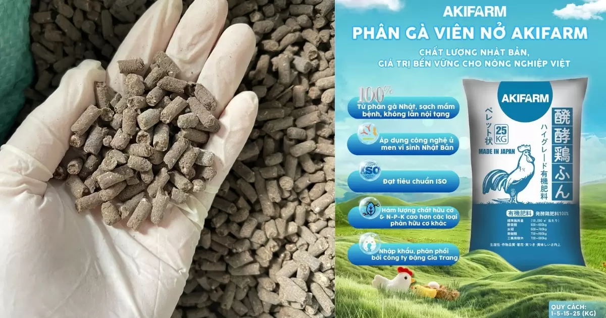 Phân gà hữu cơ Nhật Bản AKIFARM