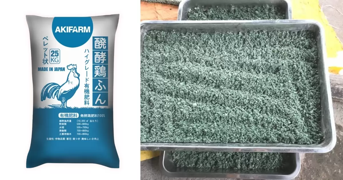 Lợi ích vượt trội khi ủ phân gà với nấm đối kháng