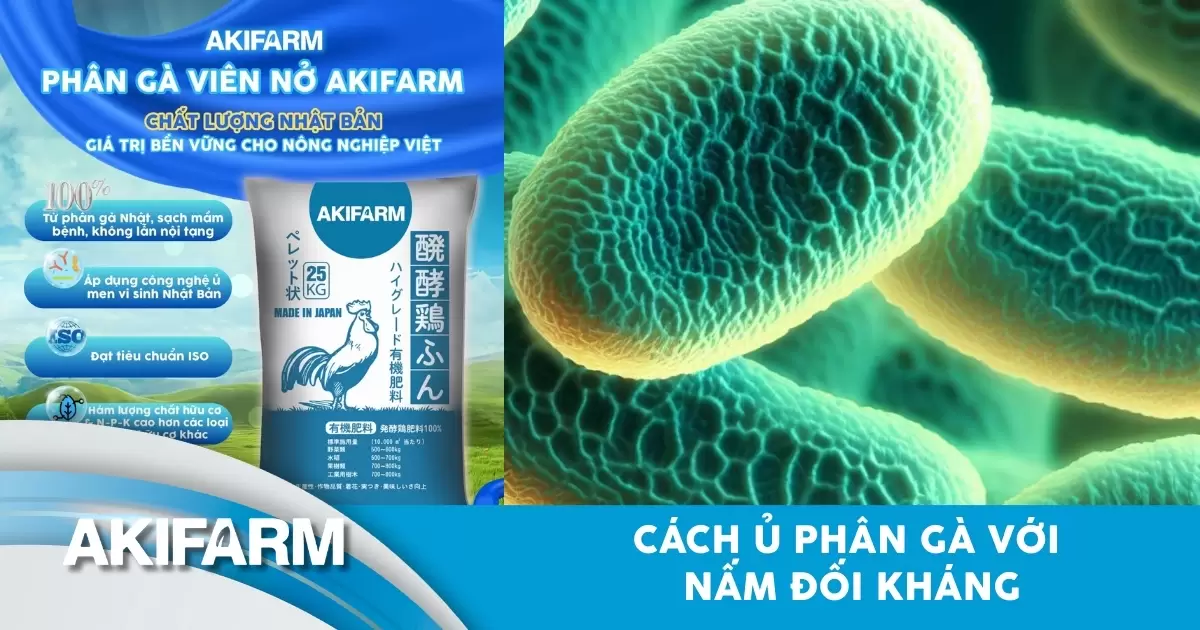 Cách ủ phân gà với nấm đối kháng