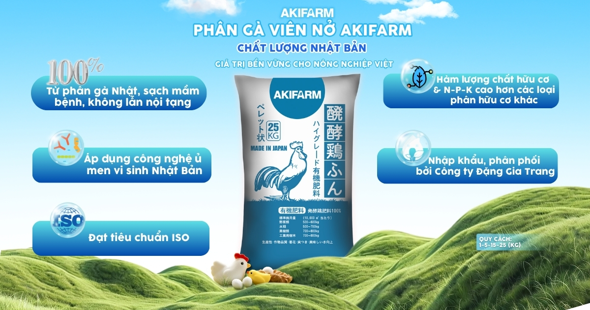Giá phân gà khô