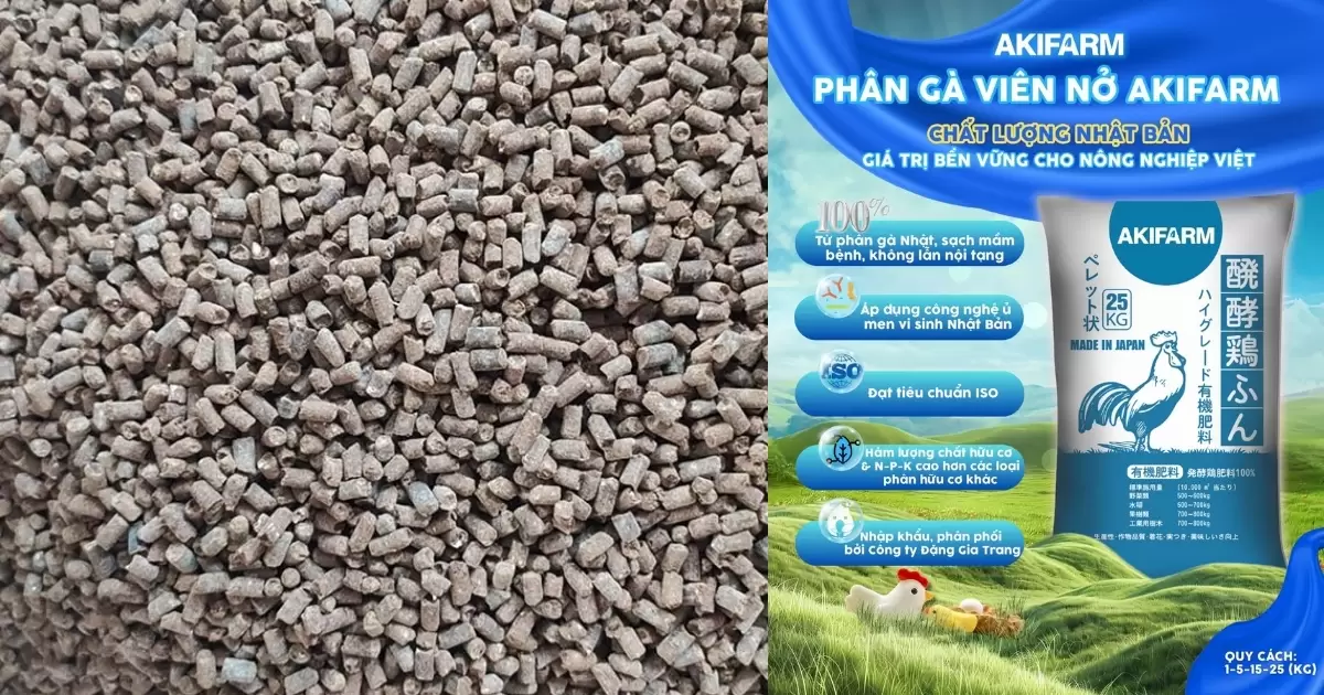 Thương hiệu uy tín như AKIFARM, có giấy chứng nhận rõ ràng