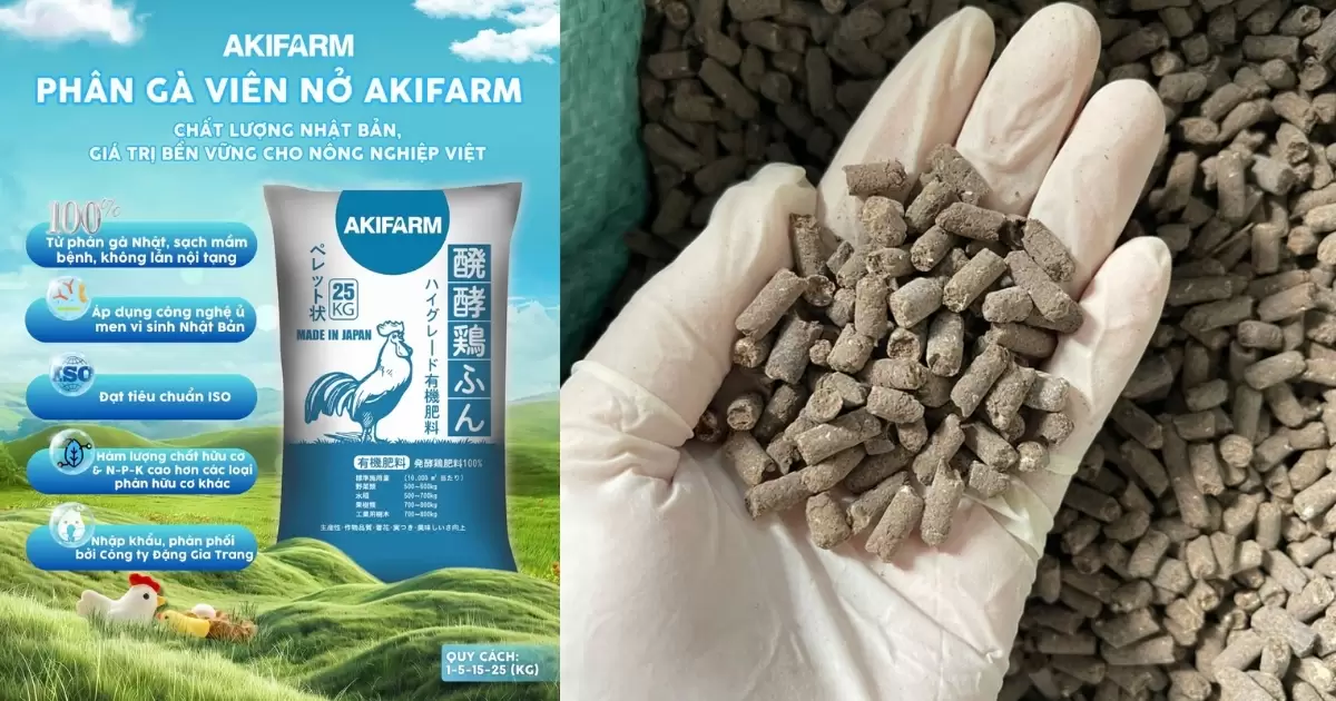 Giới thiệu về phân gà AKIFARM 