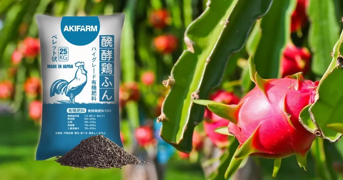 Cách bón phân gà cho cây thanh long hiệu quả