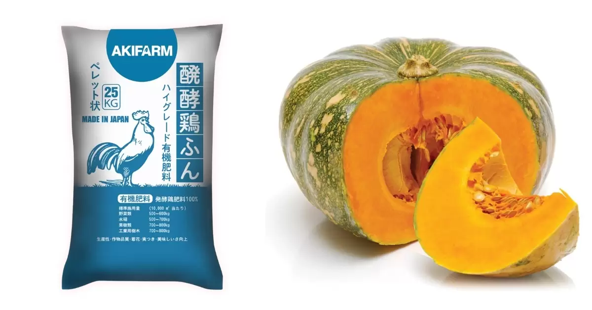 Phân gà AKIFARM giúp cây sinh trưởng mạnh mẽ, quả to, đẹp