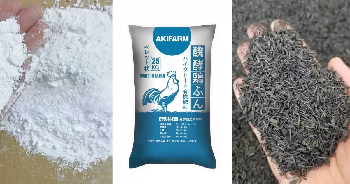 Trộn phân gà với vôi bột và tro trấu để giảm muối và vi khuẩn có hại