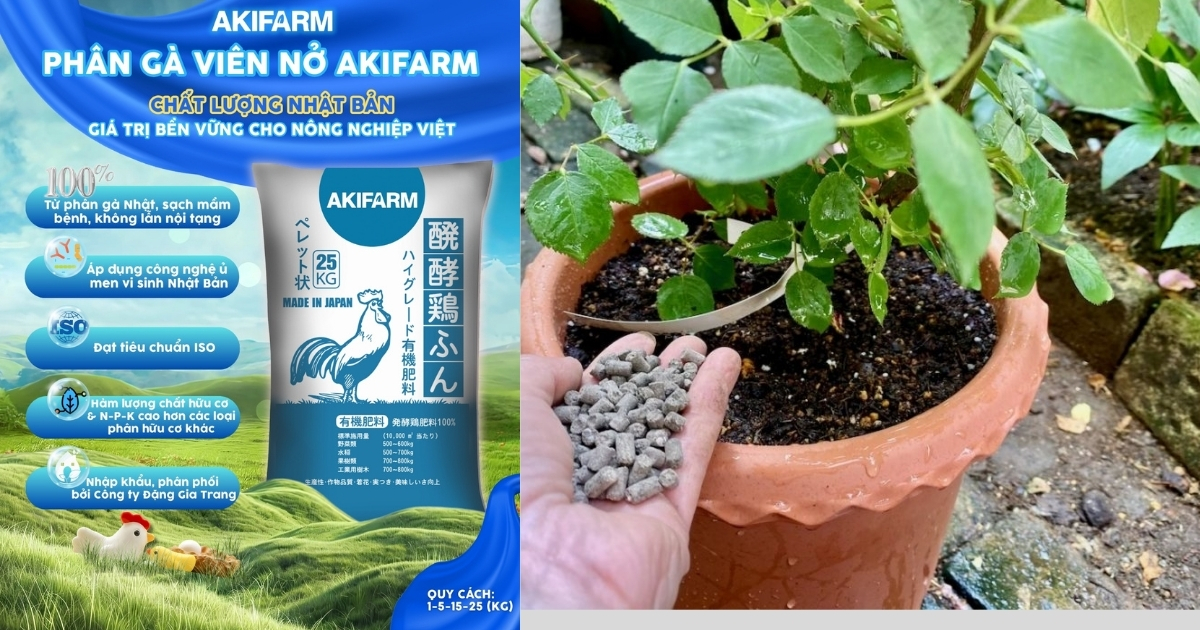 Tác dụng của phân gà đối với cây trồng và đất