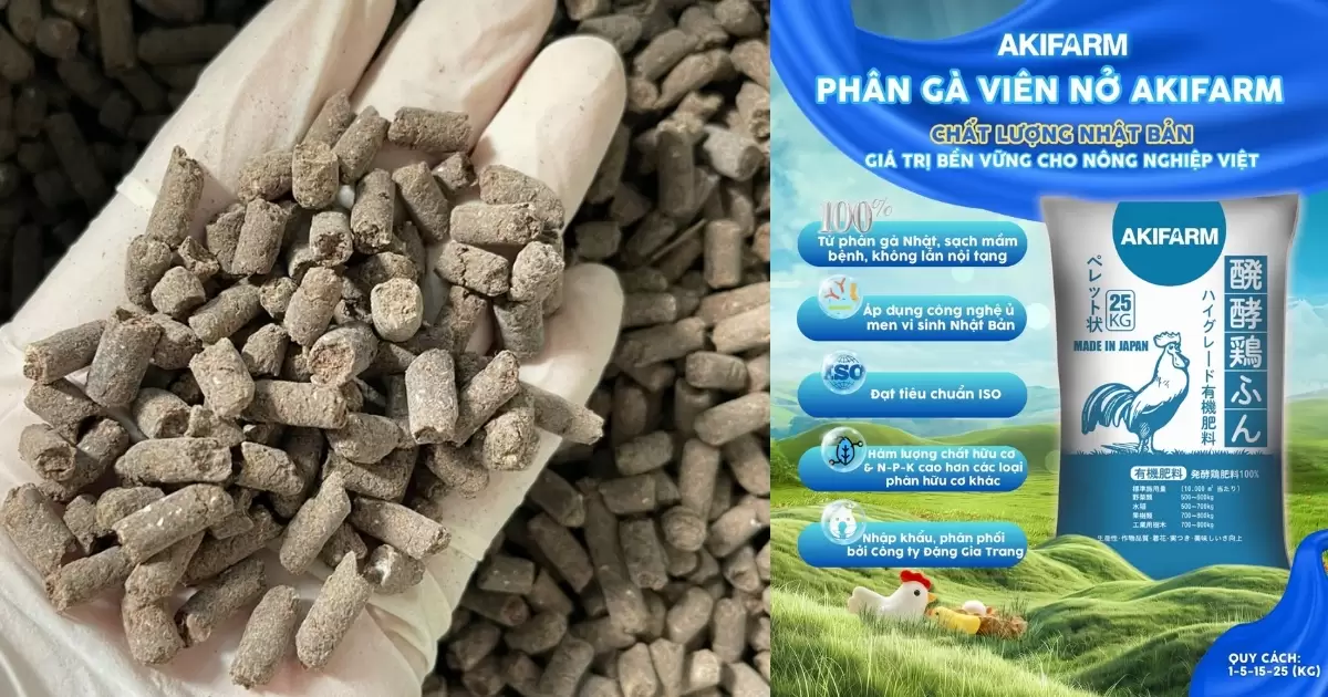 Phân gà AKIFARM nổi bật với khả năng kết hợp dinh dưỡng và vi sinh