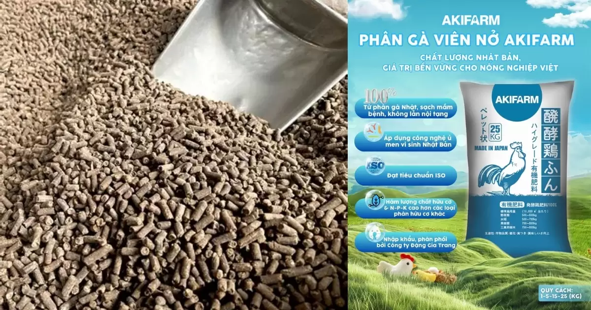 Phân gà khô cung cấp dinh dưỡng cân đối, thúc đẩy cây ra hoa đều, đậu quả nhiều