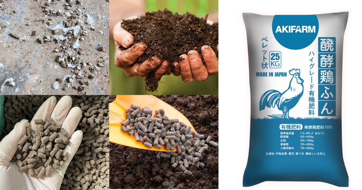Các loại phân gà phổ biến hiện nay