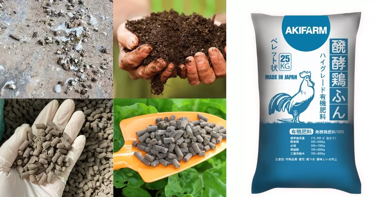 Các dạng phân gà thường gặp