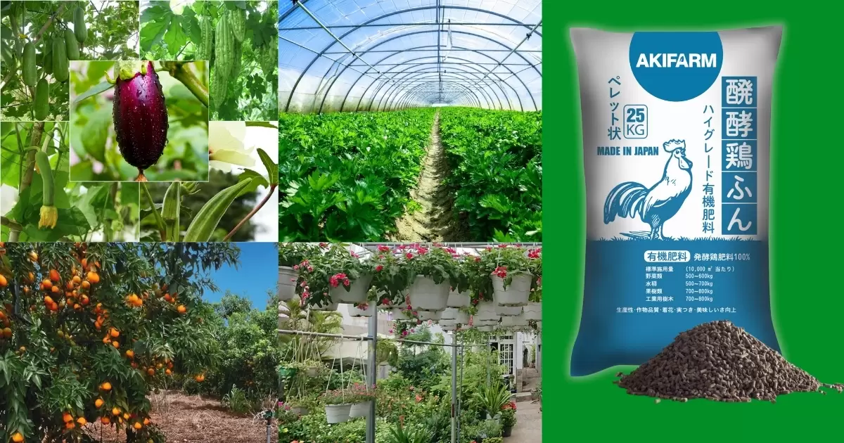 Tác dụng của phân gà?