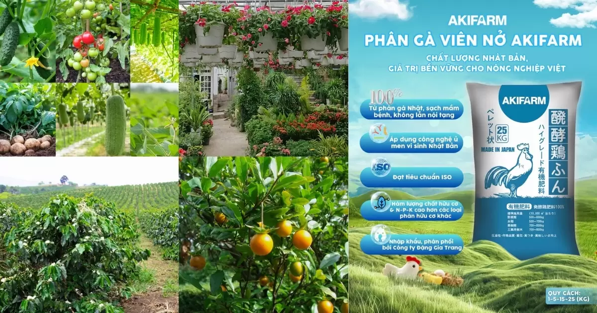 Phân gà bón cho nhiều loại cây trồng khác