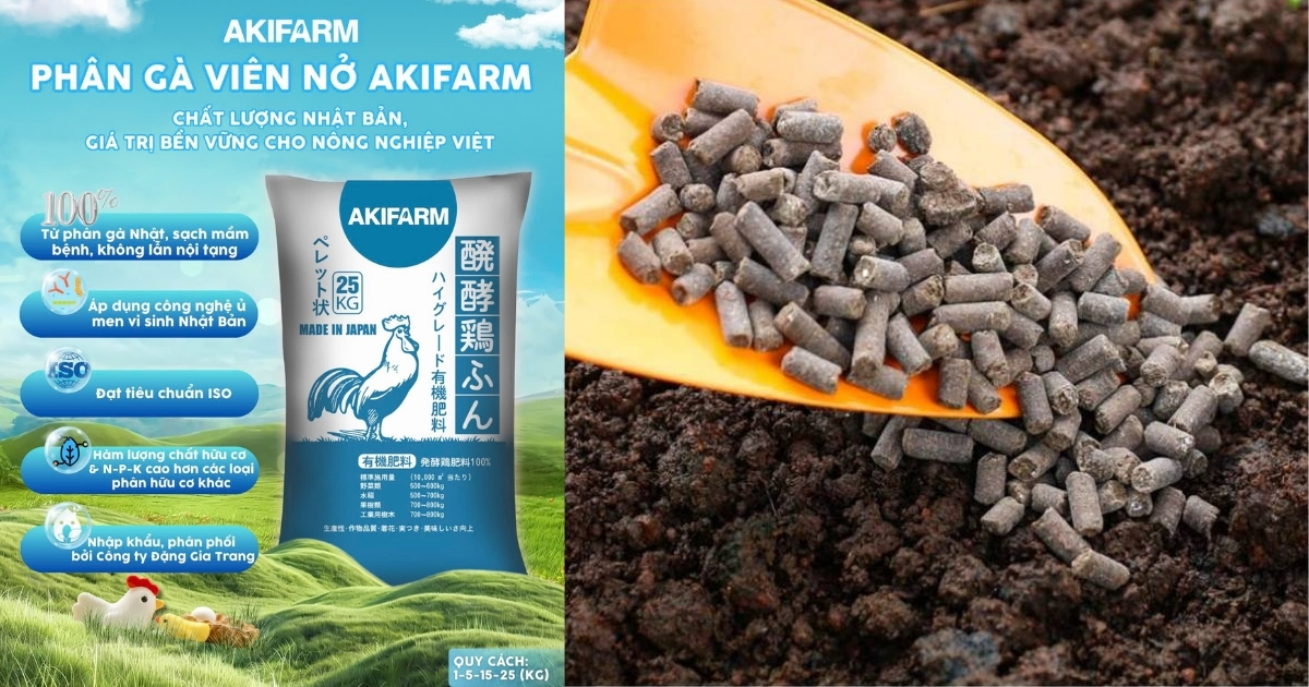 Giới thiệu phân gà AKIFARM