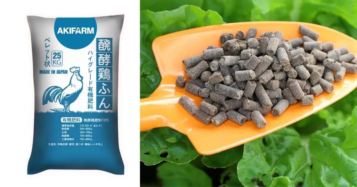 Phân gà AKIFARM được lên men vi sinh, sạch mầm bệnh.
