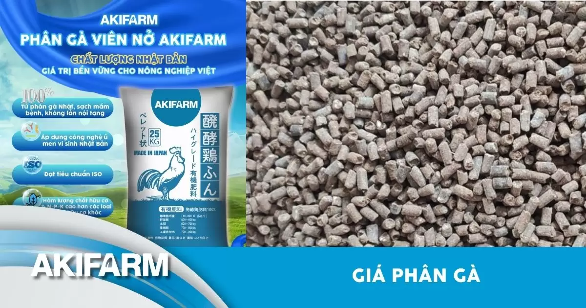 Giá phân gà