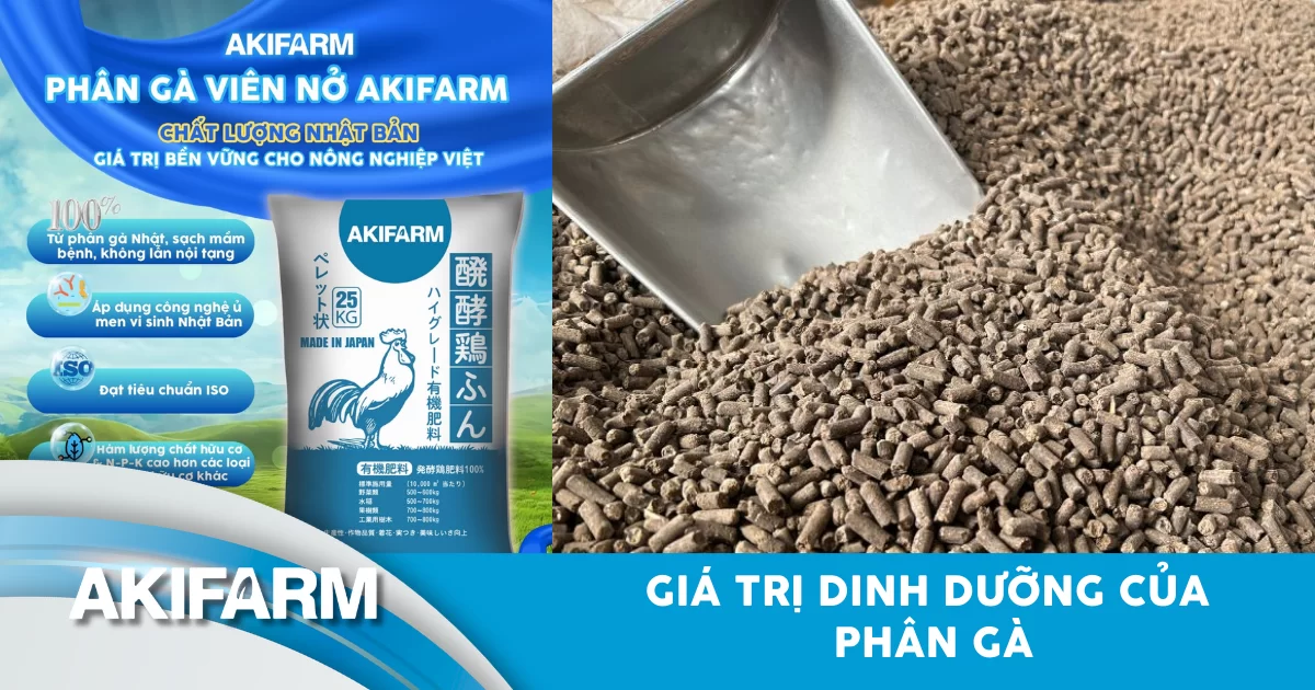 Giá trị dinh dưỡng của phân gà