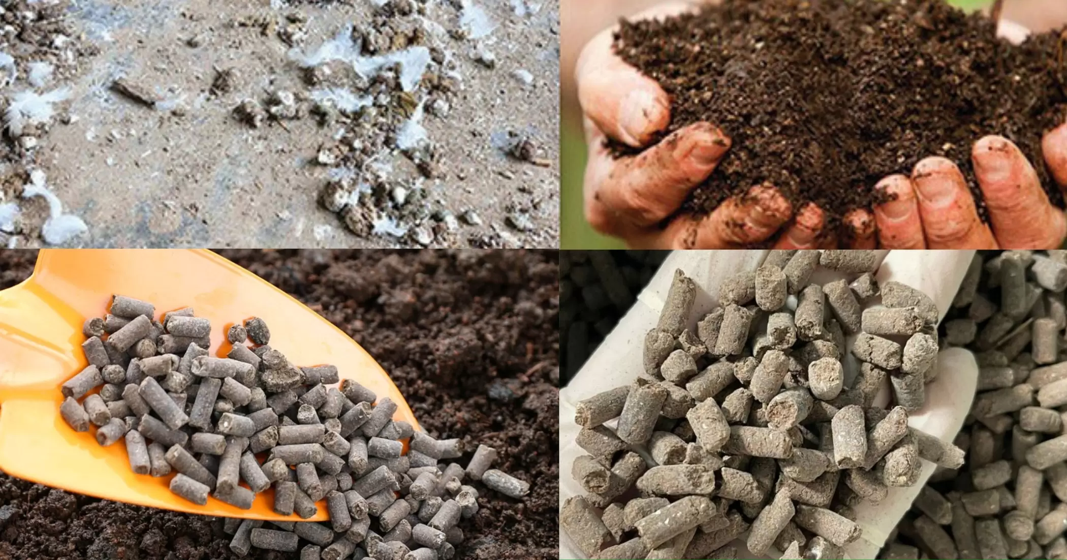 Các loại phân gà phổ biến hiện nay
