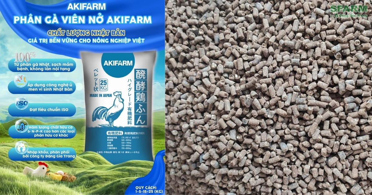 Phân gà loại nào tốt nhất hiện nay