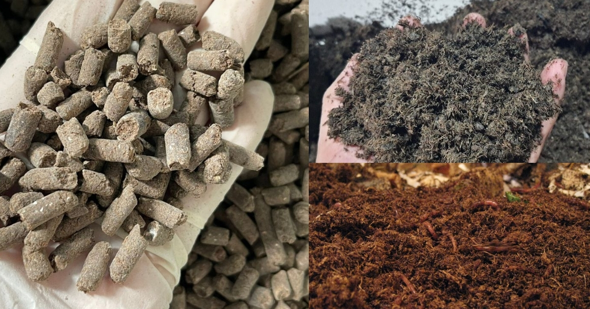 So sánh phân gà với các loại phân hữu cơ khác