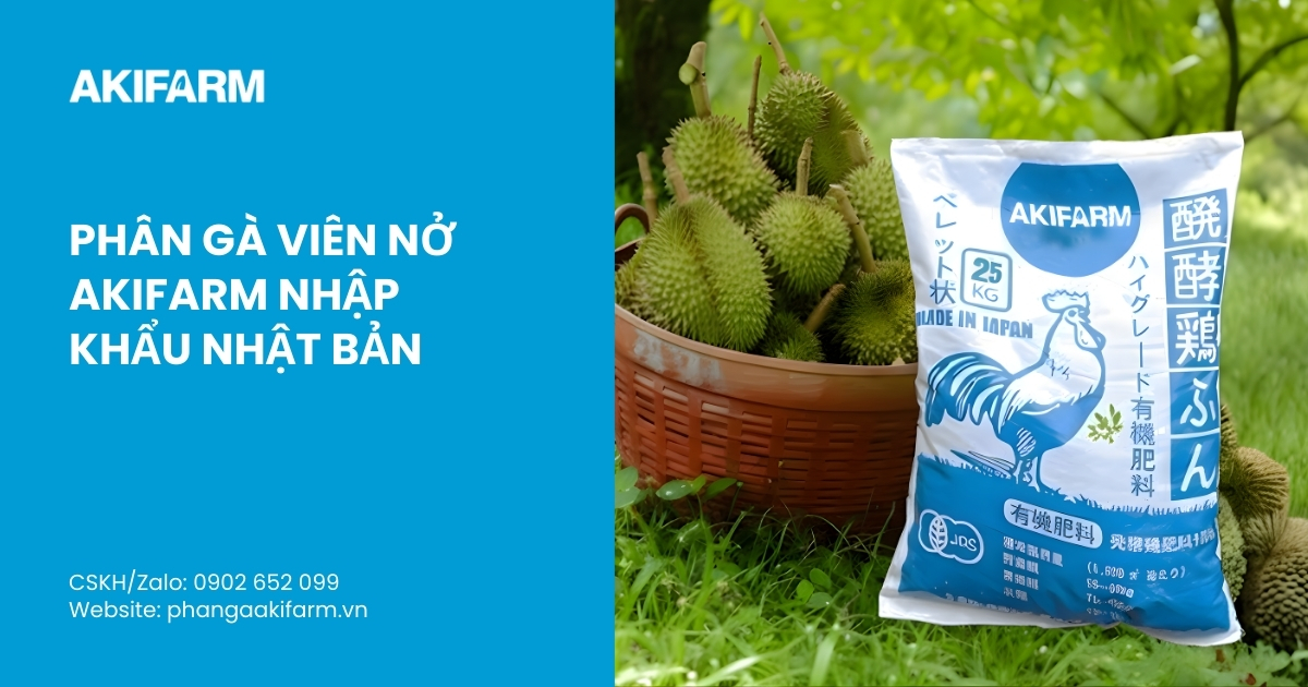 Phân gà Nhật Bản