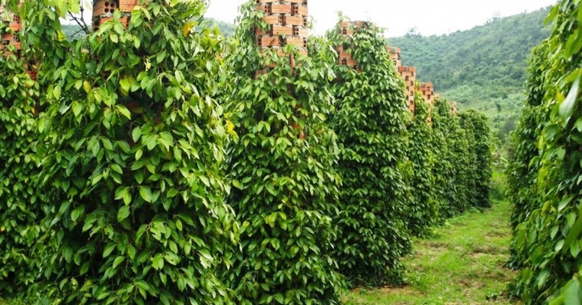 Trụ bê tông cần đầu tư về vật liệu, vận chuyển và công dựng