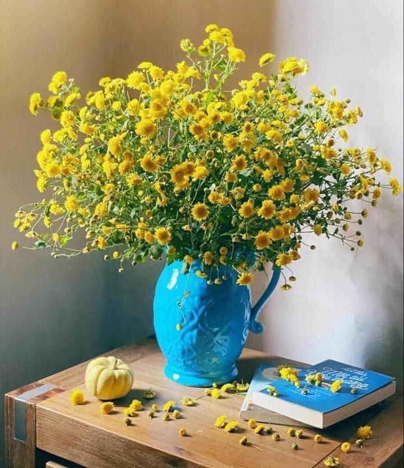 Công dụng trong đời sống của hoa cúc