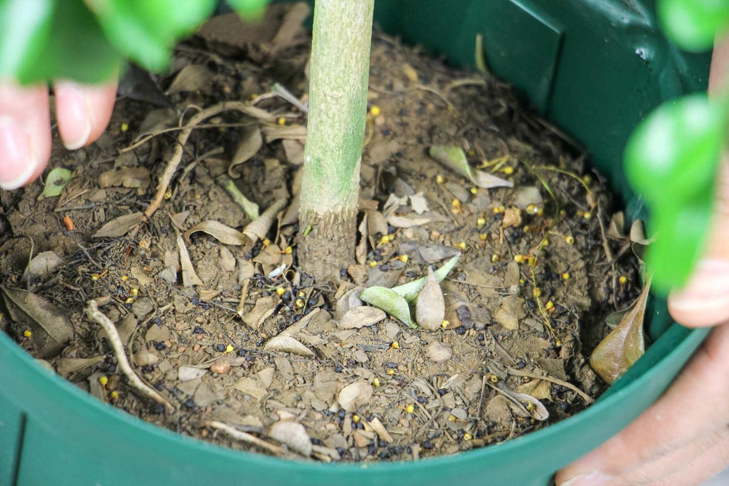 7 lỗi thường gặp